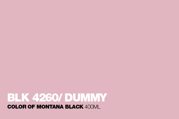 4260 - Dummy