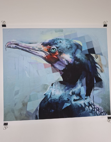 Klaas Lageweg - Bird